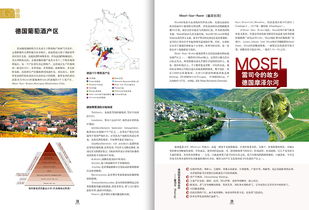 《葡萄醇韻》 葡萄酒期刊的優雅設計